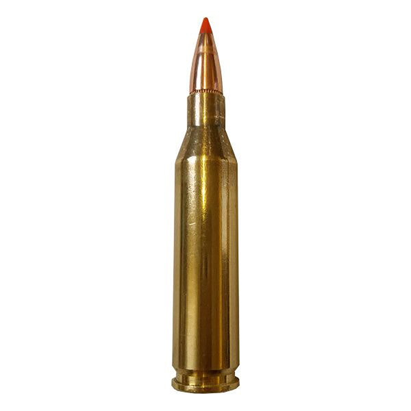 Fiocchi 243 Win 95Gr SST Centrefire Ammo - 20 Rounds