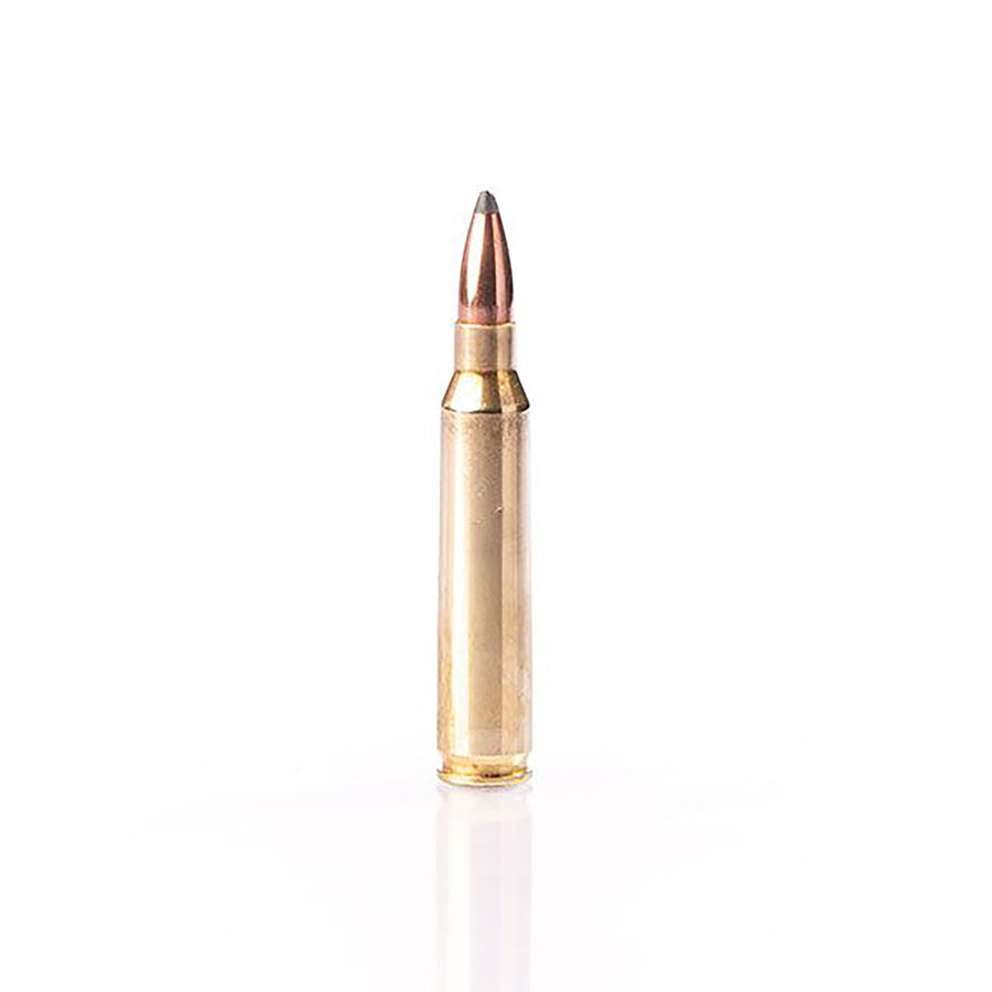 Fiocchi 223 Rem 55Gr SP Centrefire Ammo - 50 Rounds .223 REM