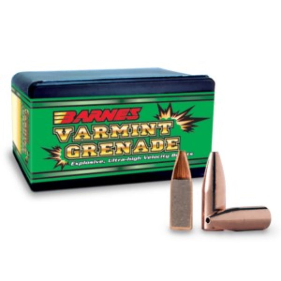 Barnes Bullets 20 Cal 26Gr - 250 Projectiles .20 CAL