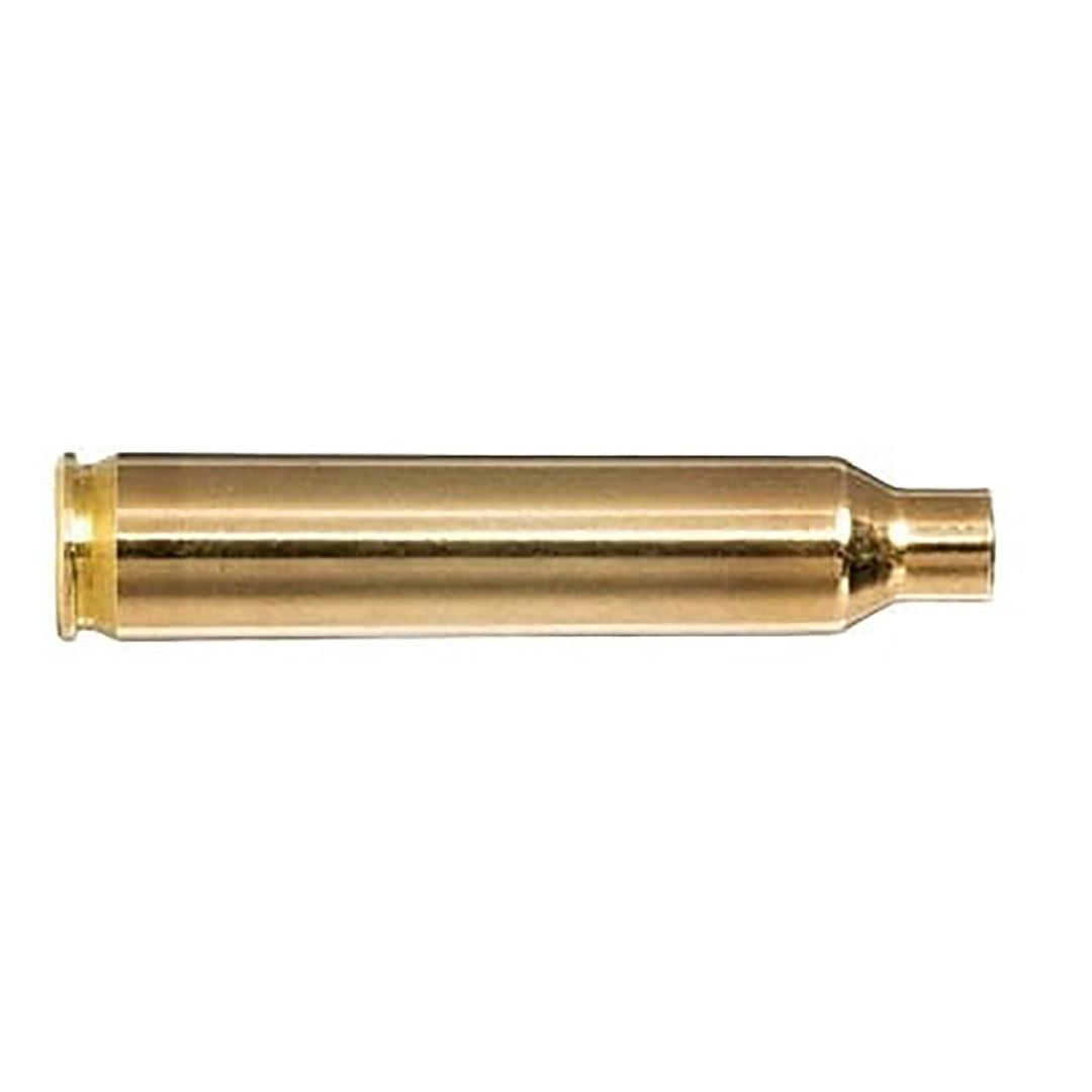 Norma Unprimed Brass 204 Ruger 100 Pack .204 RUGER