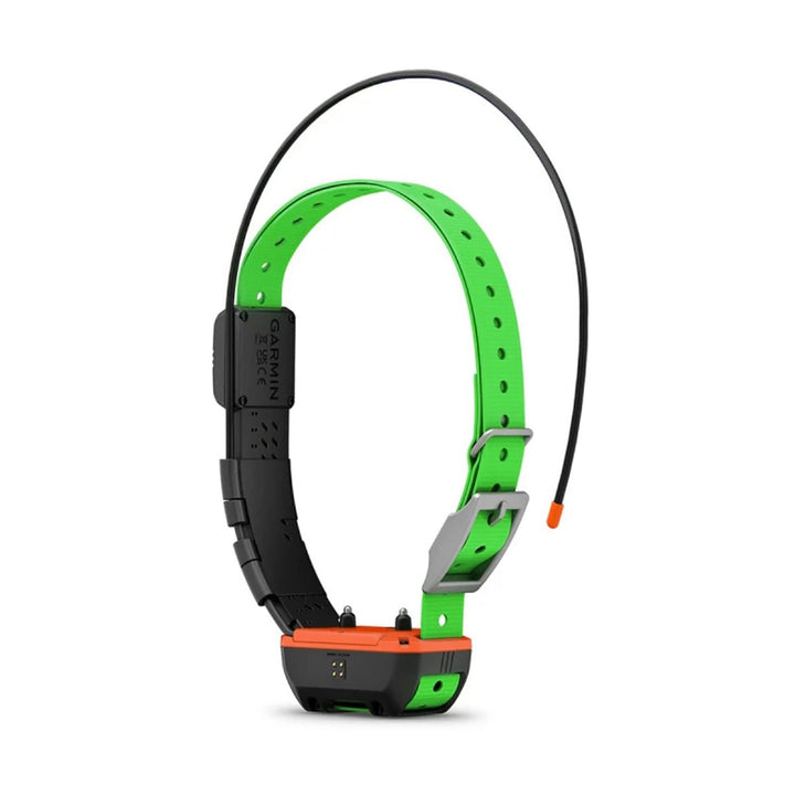 Garmin Alpha TT25 Dog Tracking GPS Collar