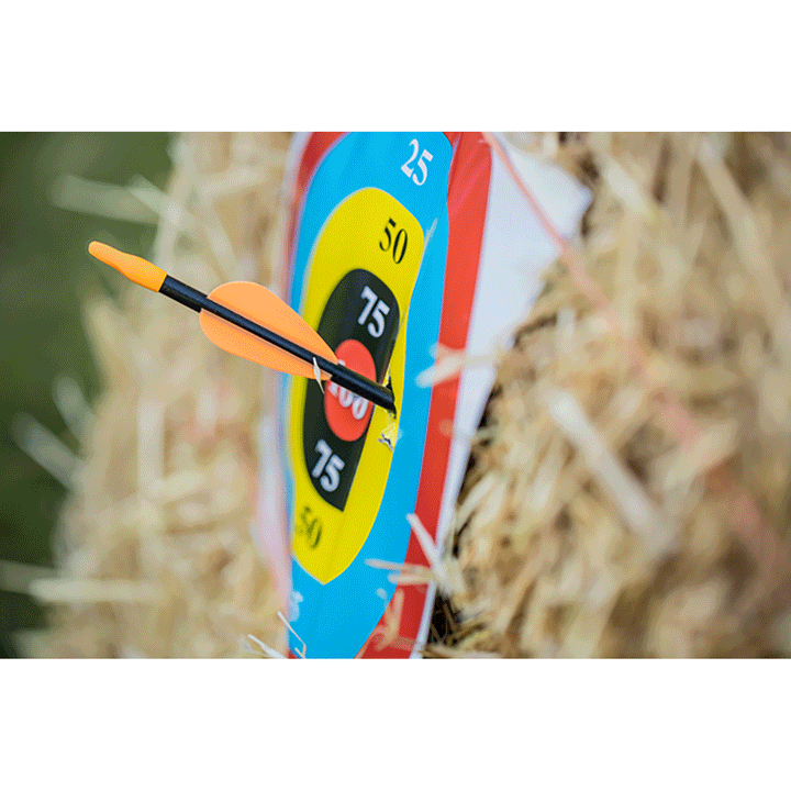 Trophy Ridge Youth Safetyglass Arrows 28in 28 inches