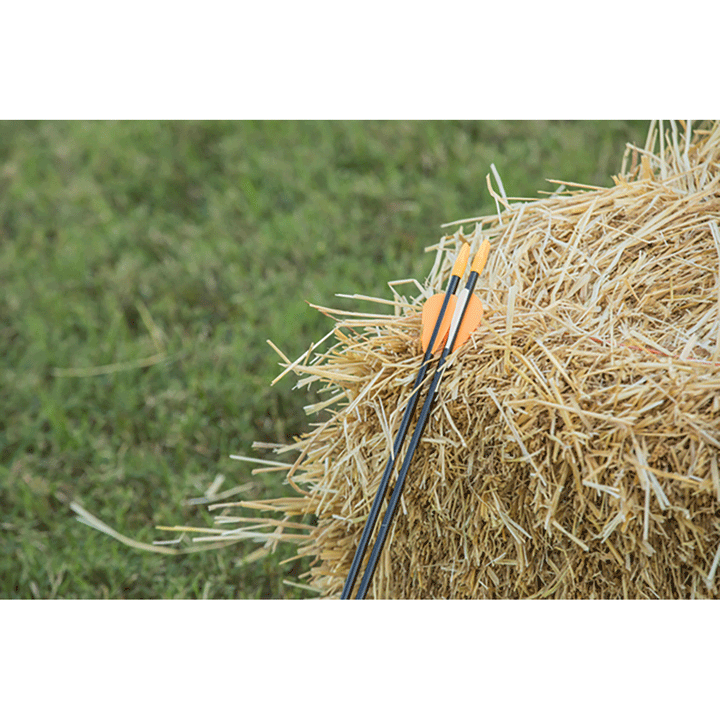 Trophy Ridge Youth Safetyglass Arrows 28in 28 inches