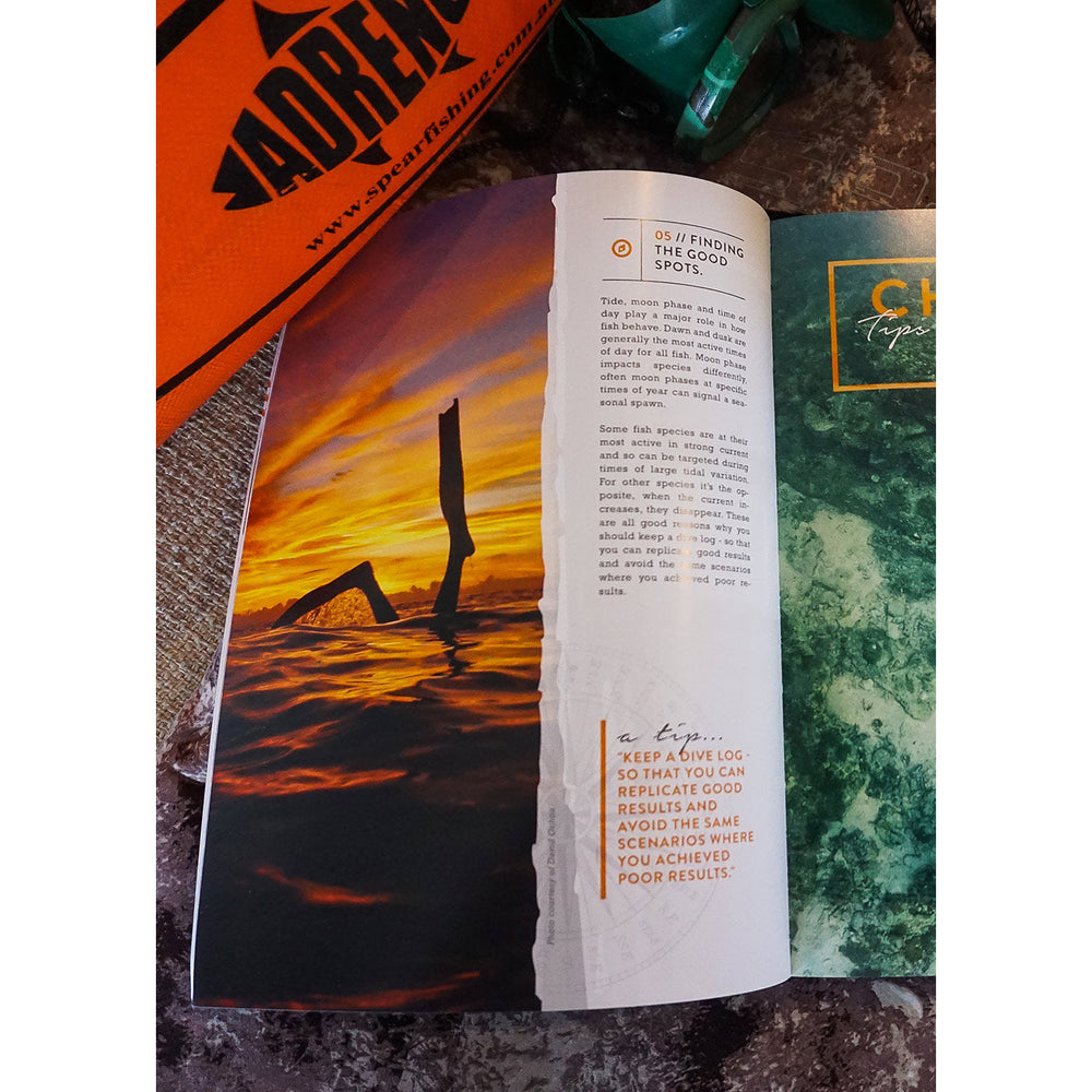 99 Tips to Get Better at Spearfishing Book