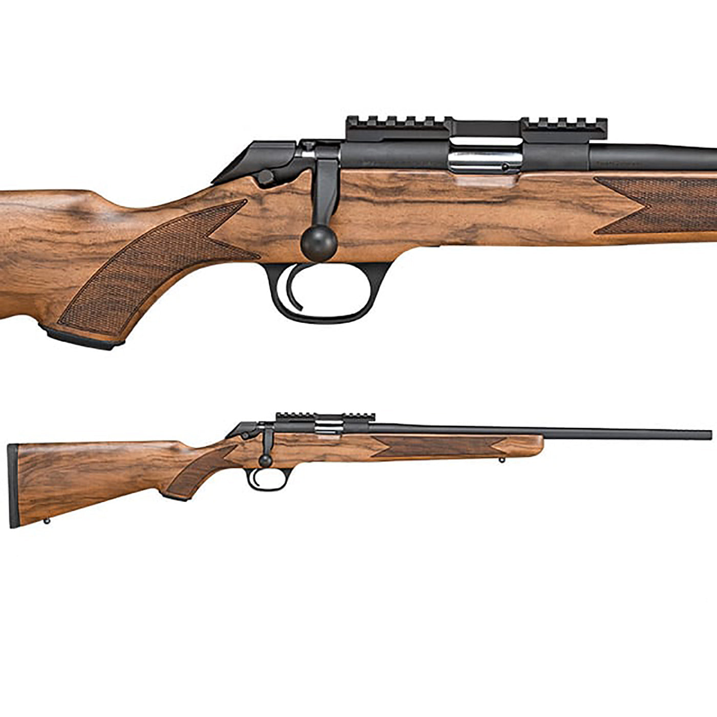 Springfield Timber Logo Springfield 2020 Rimfire Timber Bolt Action Rifle – Venture Hunting