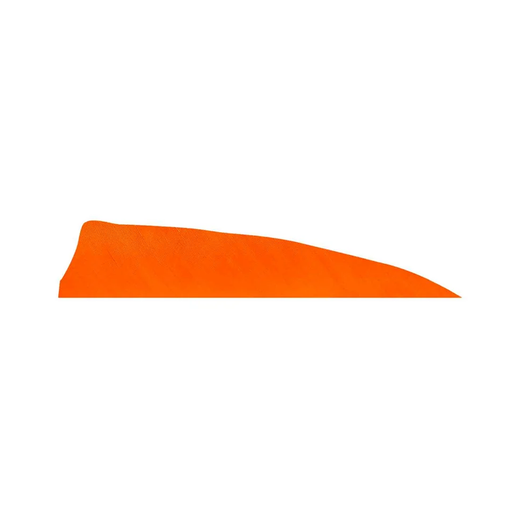 Gateway 4inch Shield Cut Feathers - Right Wing
