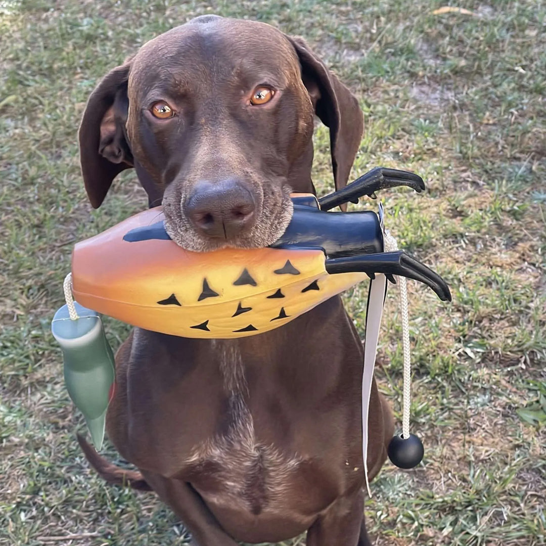 Gundog Gear Pheasant Dummy