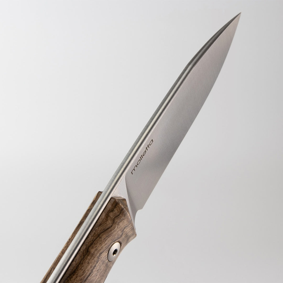 lionSTEEL B35 Knife