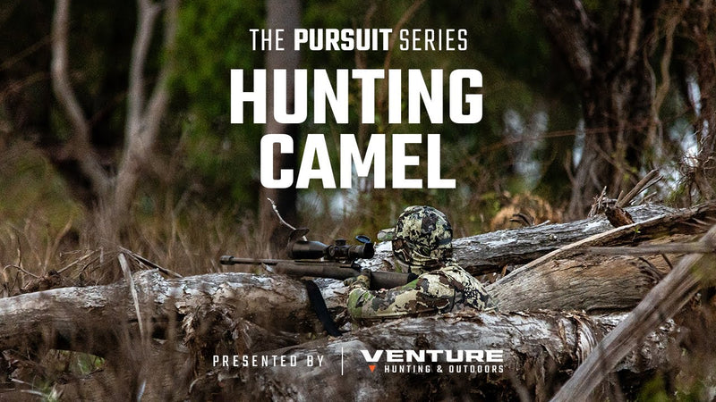 Camel Hunting in North Queensland